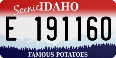 ID license plate E191160