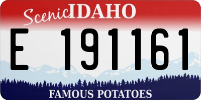ID license plate E191161