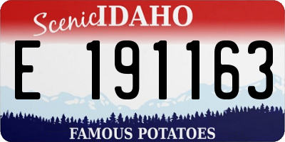 ID license plate E191163