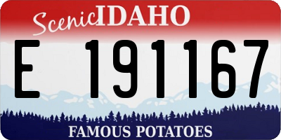ID license plate E191167