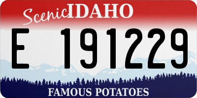 ID license plate E191229
