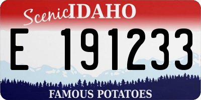 ID license plate E191233
