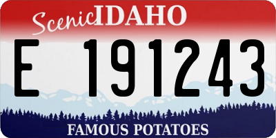 ID license plate E191243