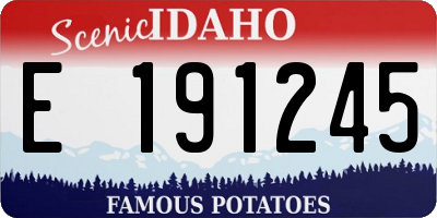 ID license plate E191245