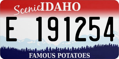 ID license plate E191254