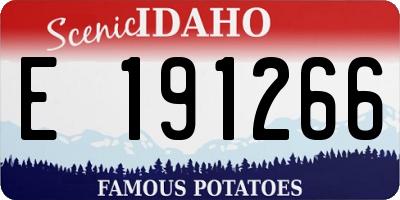 ID license plate E191266