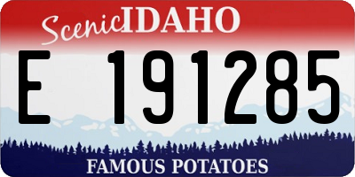 ID license plate E191285