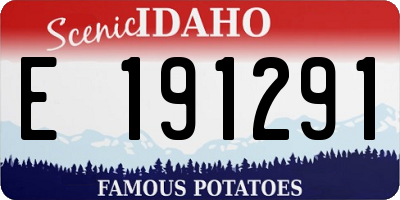 ID license plate E191291