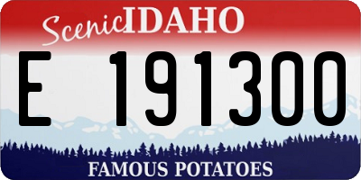 ID license plate E191300