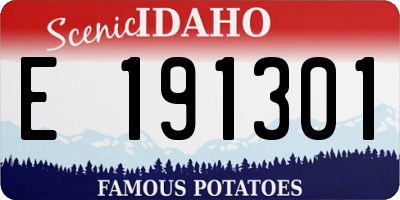 ID license plate E191301