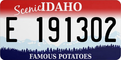 ID license plate E191302