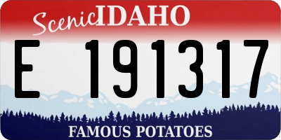 ID license plate E191317