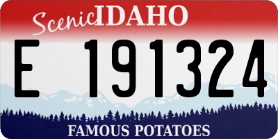 ID license plate E191324