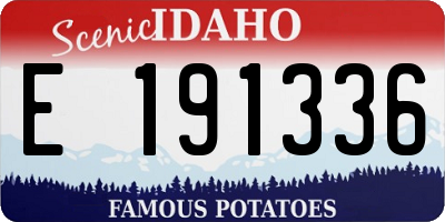 ID license plate E191336