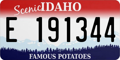 ID license plate E191344