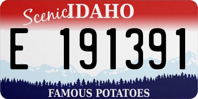 ID license plate E191391