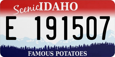 ID license plate E191507