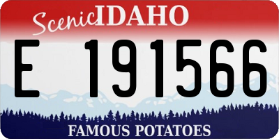 ID license plate E191566