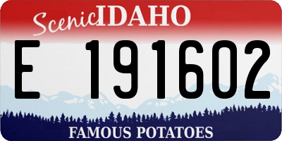 ID license plate E191602