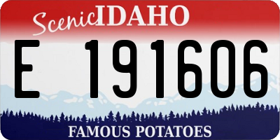 ID license plate E191606