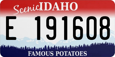 ID license plate E191608