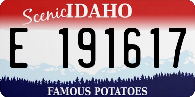 ID license plate E191617