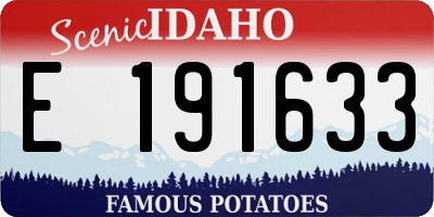 ID license plate E191633