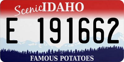 ID license plate E191662
