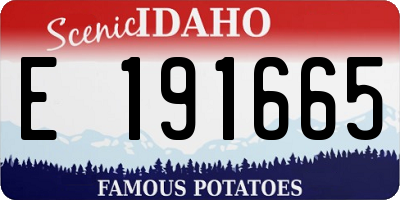ID license plate E191665