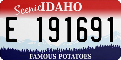 ID license plate E191691