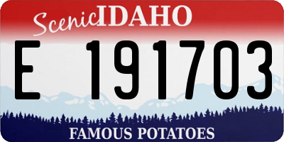 ID license plate E191703