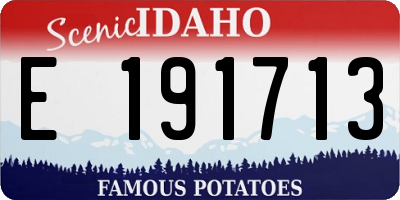 ID license plate E191713