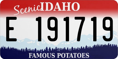 ID license plate E191719