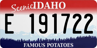 ID license plate E191722