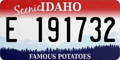 ID license plate E191732