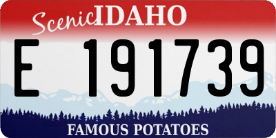 ID license plate E191739