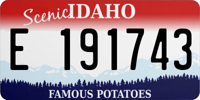 ID license plate E191743