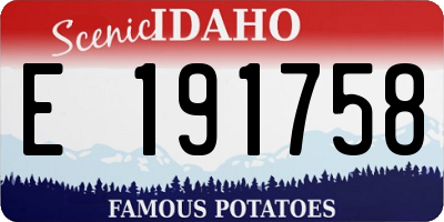ID license plate E191758