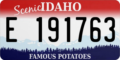 ID license plate E191763