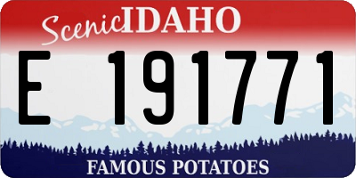 ID license plate E191771
