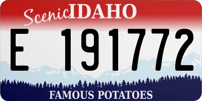 ID license plate E191772