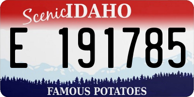 ID license plate E191785