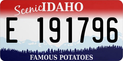 ID license plate E191796