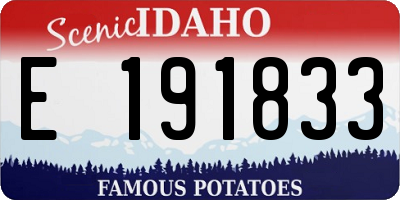 ID license plate E191833