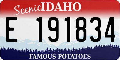ID license plate E191834