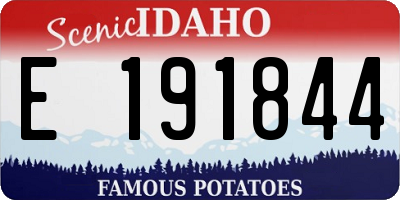 ID license plate E191844