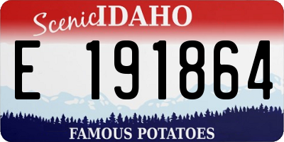 ID license plate E191864