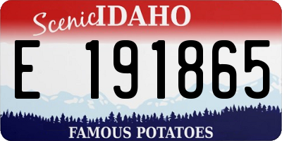 ID license plate E191865