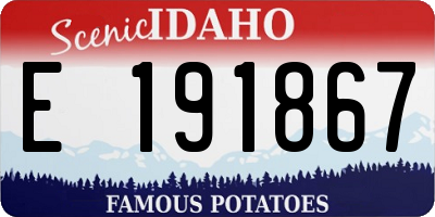 ID license plate E191867