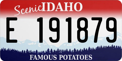 ID license plate E191879